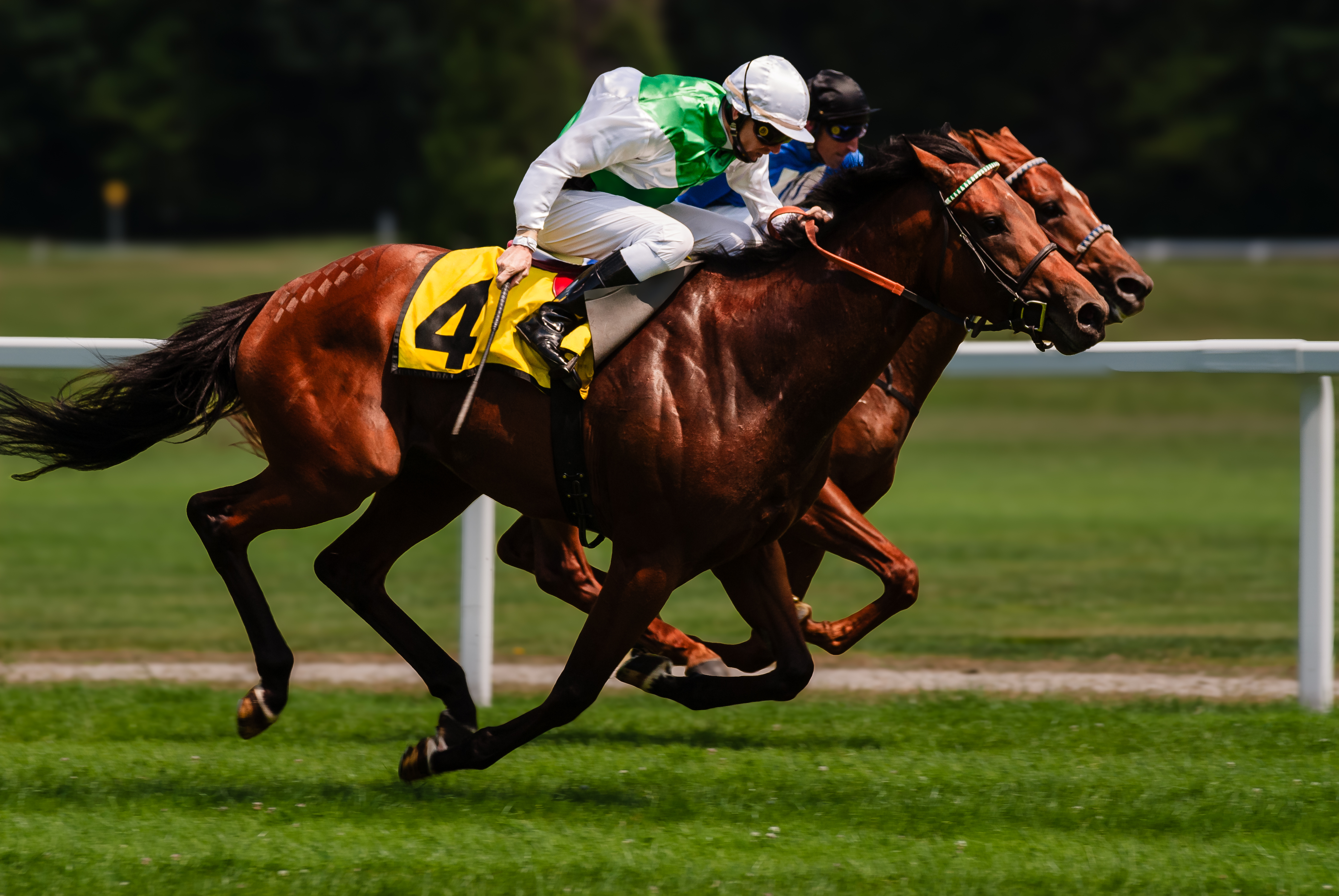 Galopprennbahn Riem -  01870